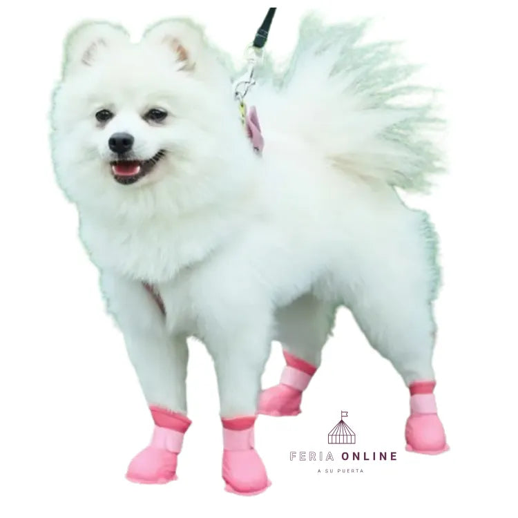 Botas de Silicona para Mascotas