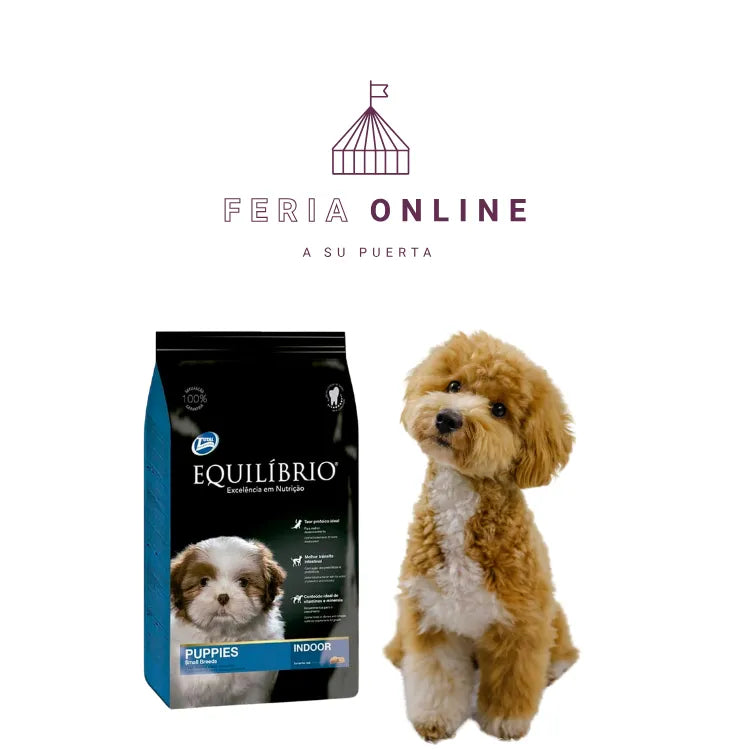 Equilíbrio Puppies Cachorros Razas Pequeñas