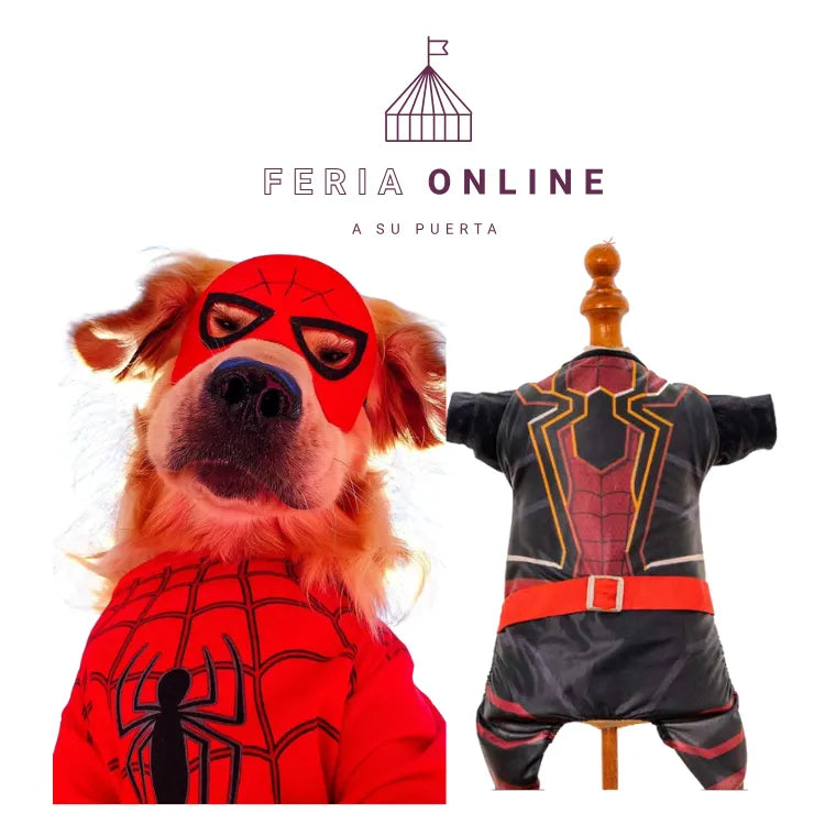 DISFRAZ DEL HOMBRE ARAÑA