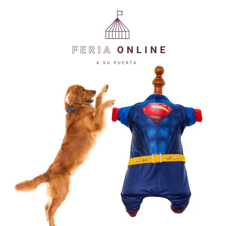 DISFRAZ SUPERMAN