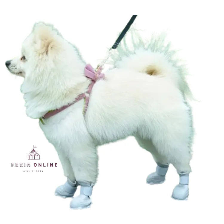 Botas de Silicona para Mascotas