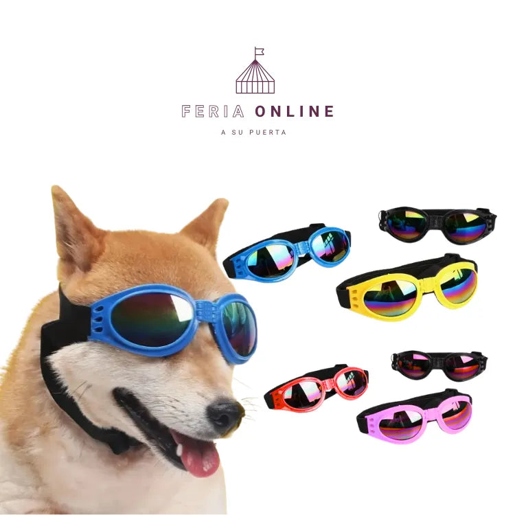 Gafas para Mascotas
