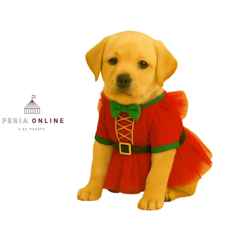 Vestido mamá noel