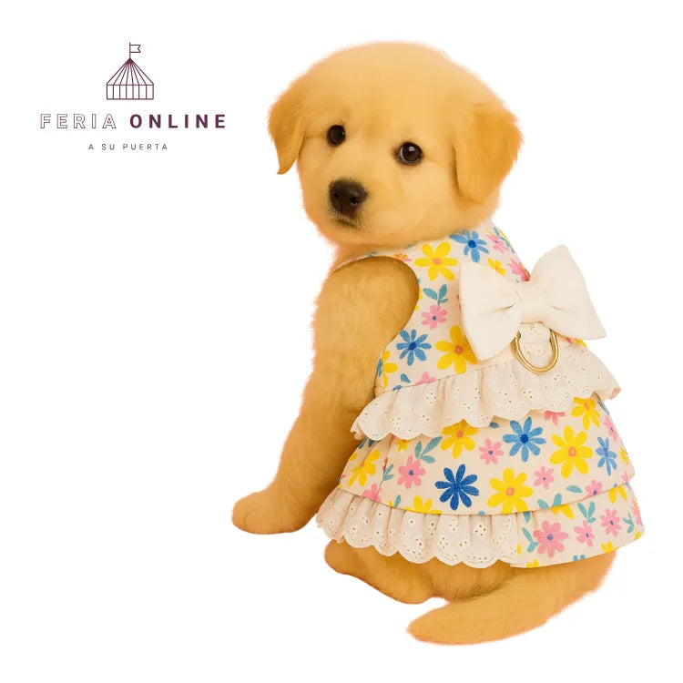 Vestido Con Alas Para Mascota