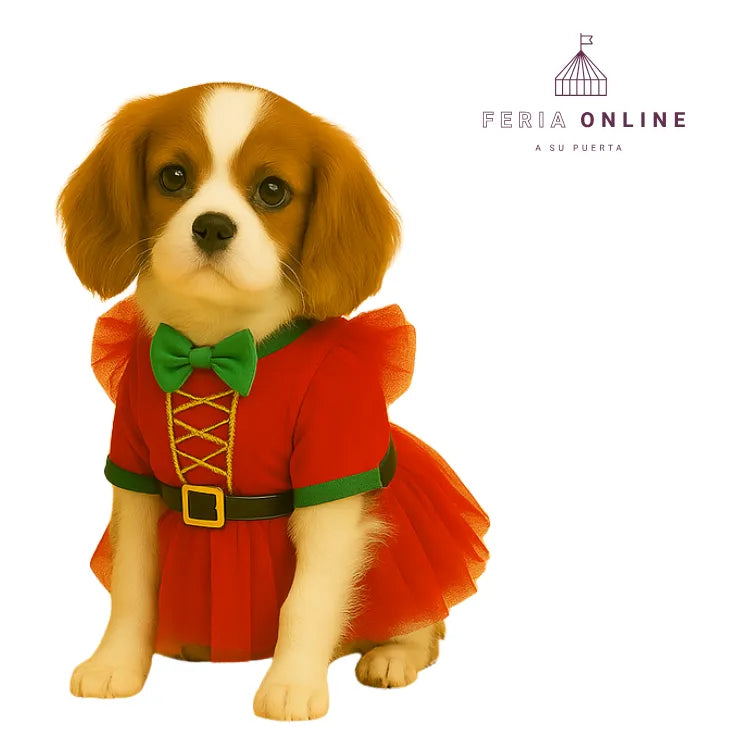 Vestido mamá noel