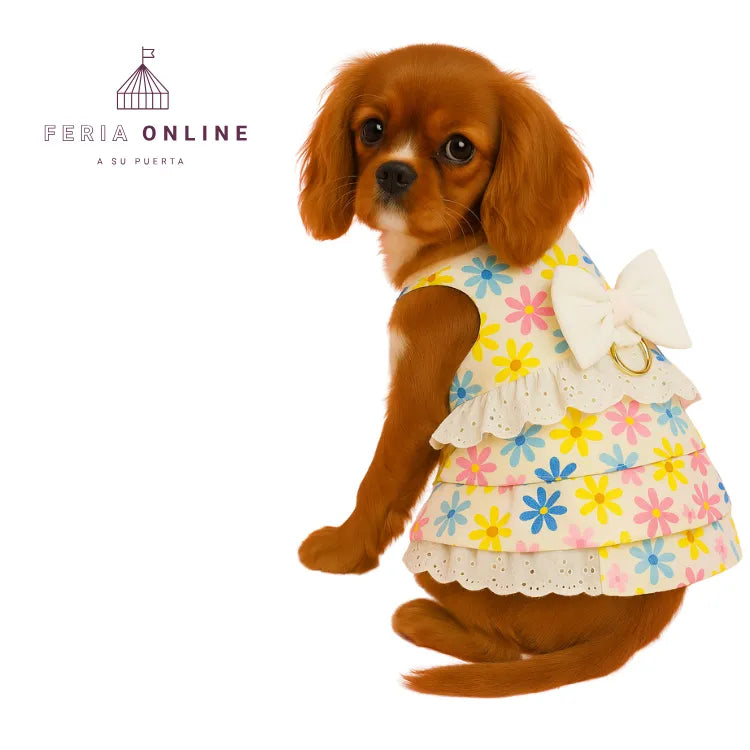 Vestido Con Alas Para Mascota