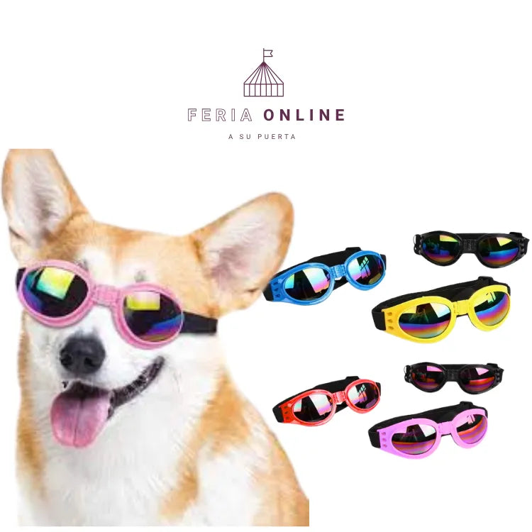 Gafas para Mascotas