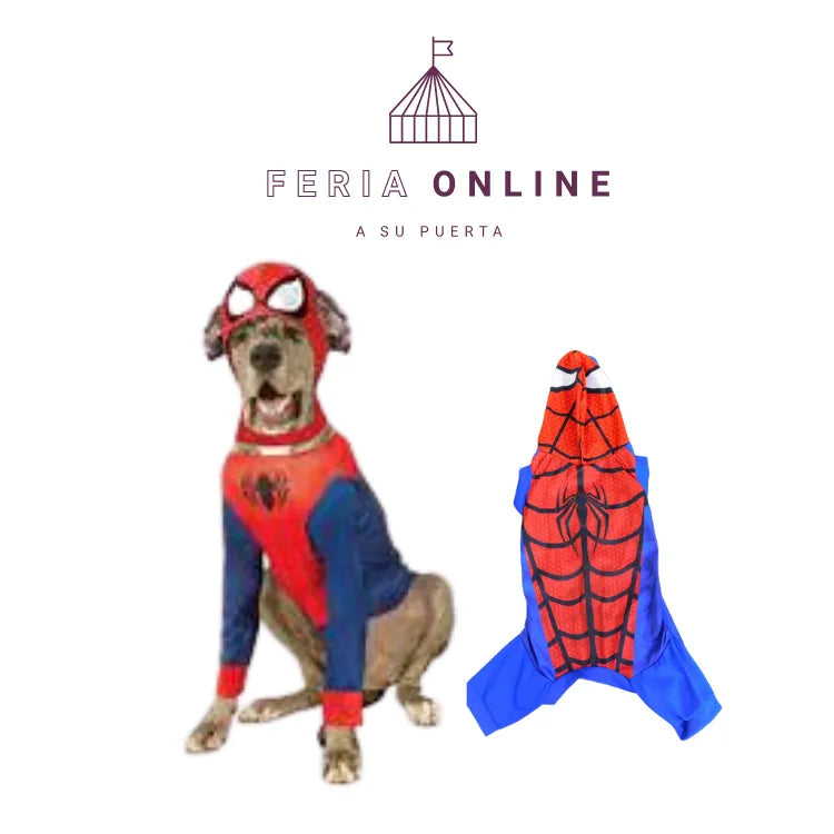 DISFRAZ SUPER HEROES