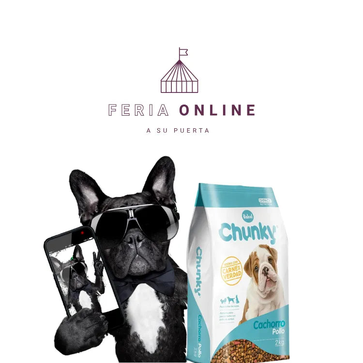 Chunky Perros Cachorros Pollo y Arroz