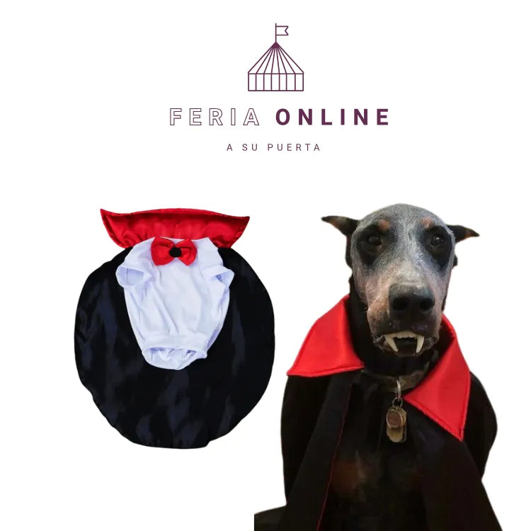 DISFRAZ DE DRACULA