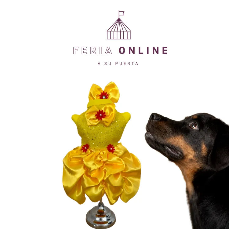 DISFRAZ BELLA