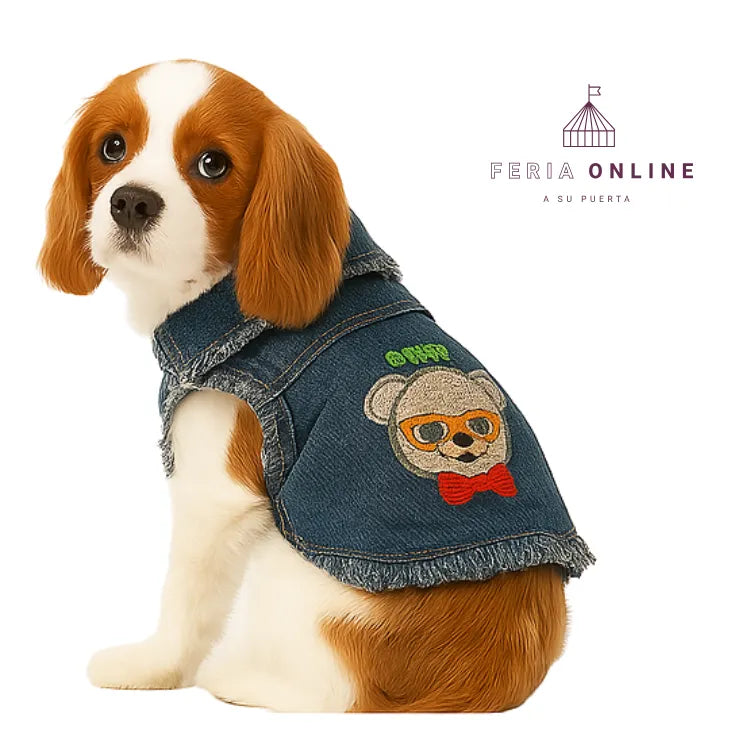 Chaqueta Jean