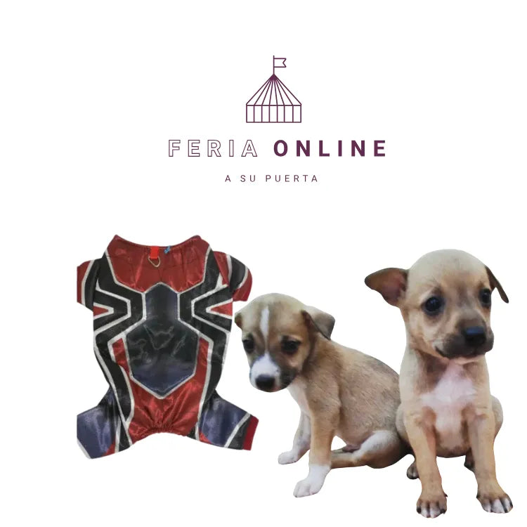 DISFRAZ DE SPIDERMAN