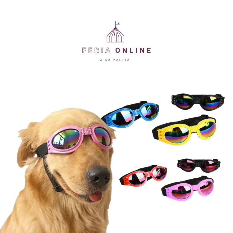 Gafas para Mascotas