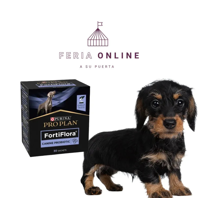 Proplan Fortiflora Para Perros x 1 Und