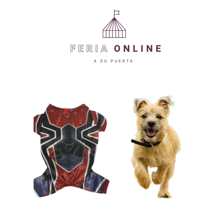 DISFRAZ DE SPIDERMAN