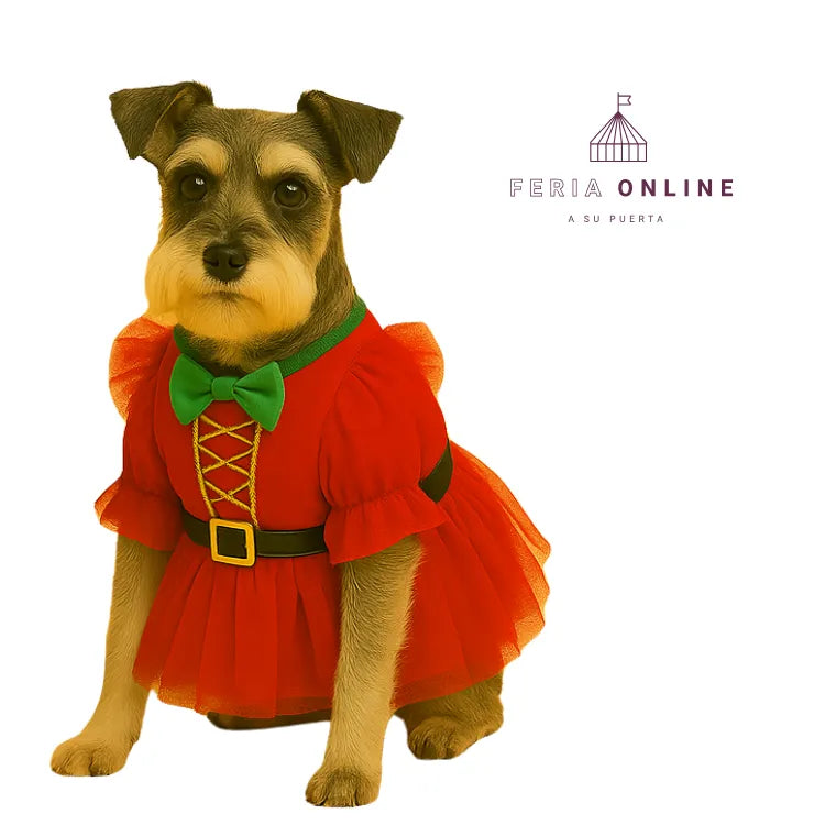 Vestido mamá noel