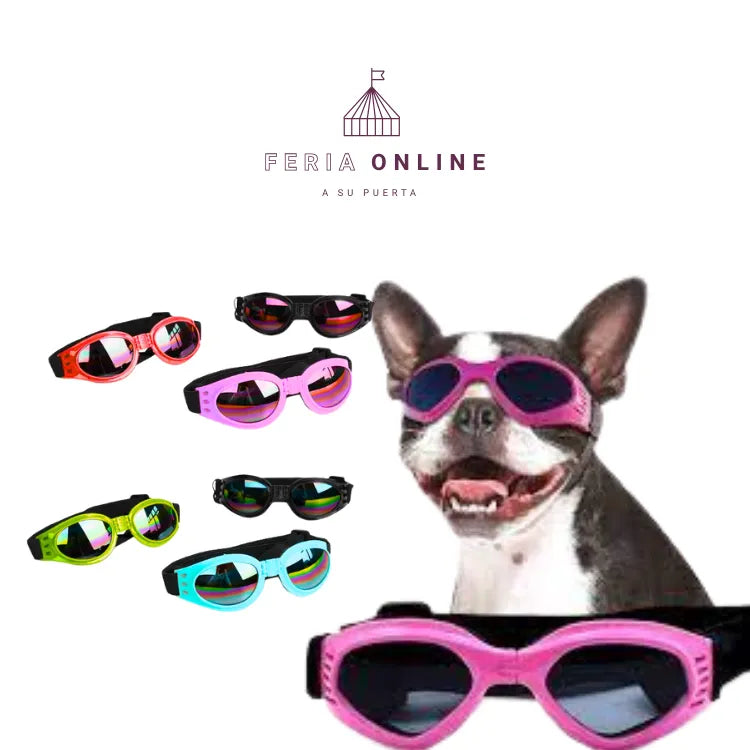 Gafas para Mascotas