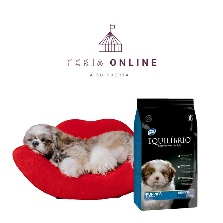 Equilíbrio Puppies Cachorros Razas Pequeñas