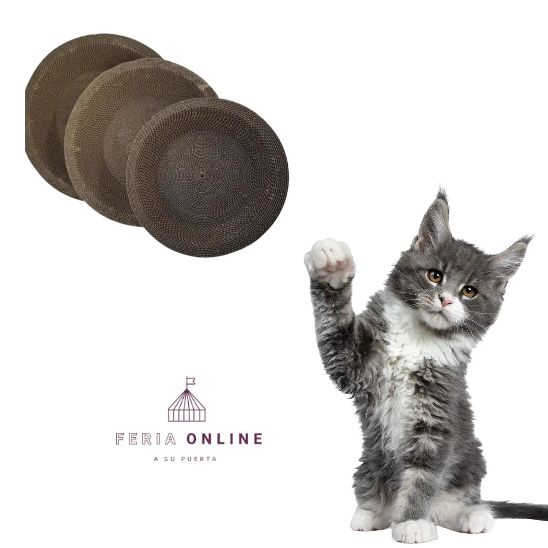 Juguetes para gatos