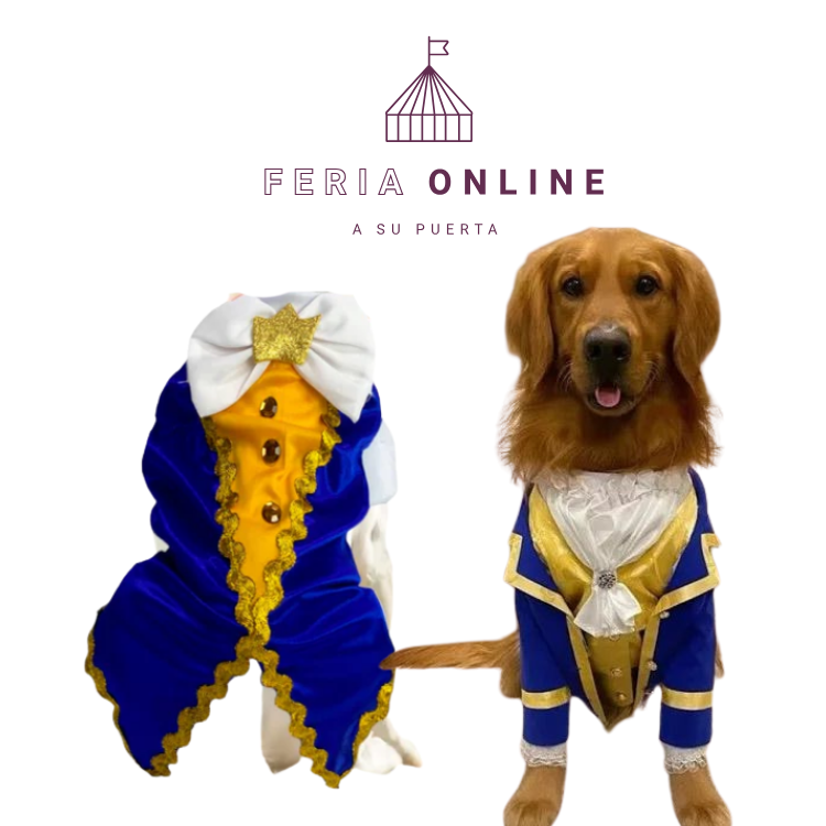 DISFFRAZ DE PRINCIPE