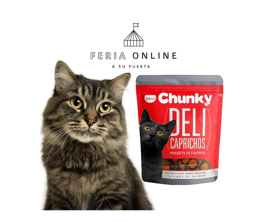 Chunky Delicaprichos Gatos Salmón