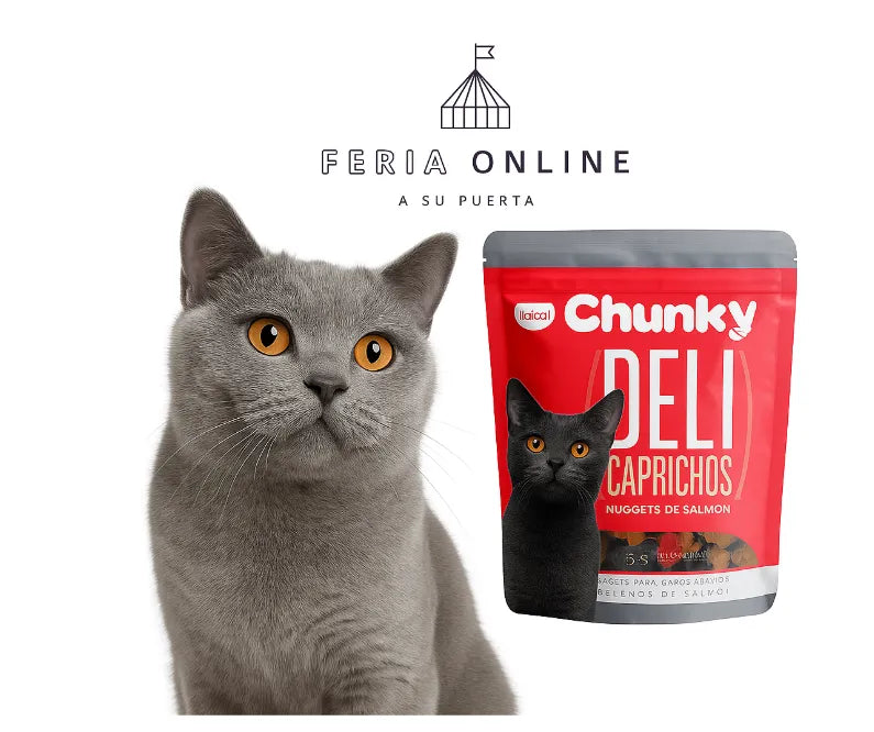 Chunky Delicaprichos Gatos Salmón