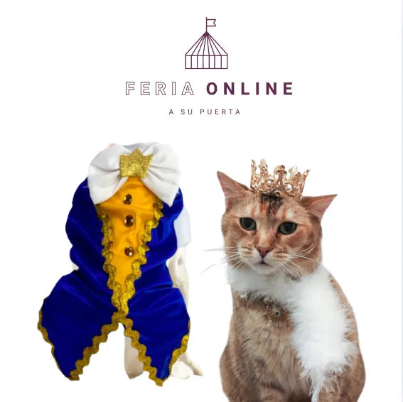 DISFFRAZ DE PRINCIPE