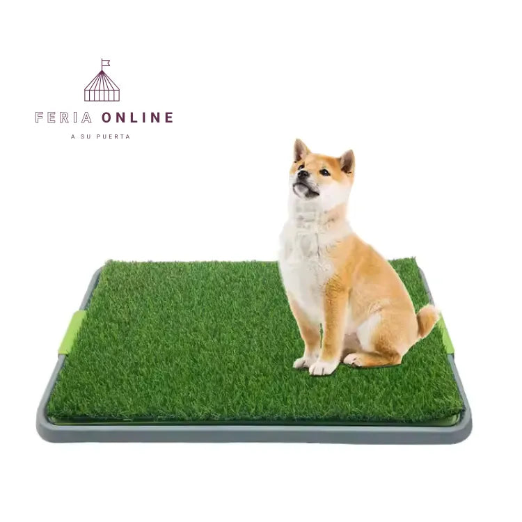 Tapete De Baño Para Perro