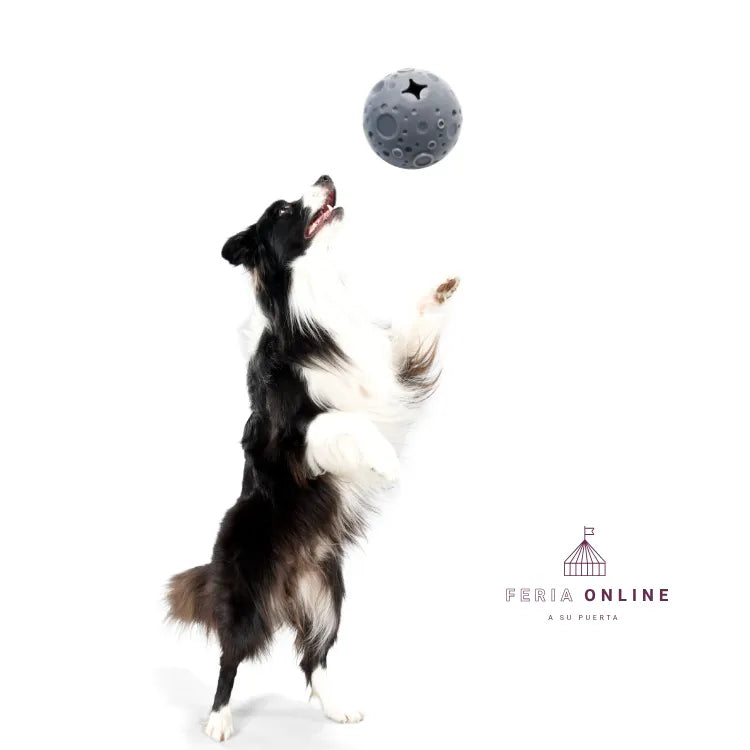Pelota Luna TPR Premio