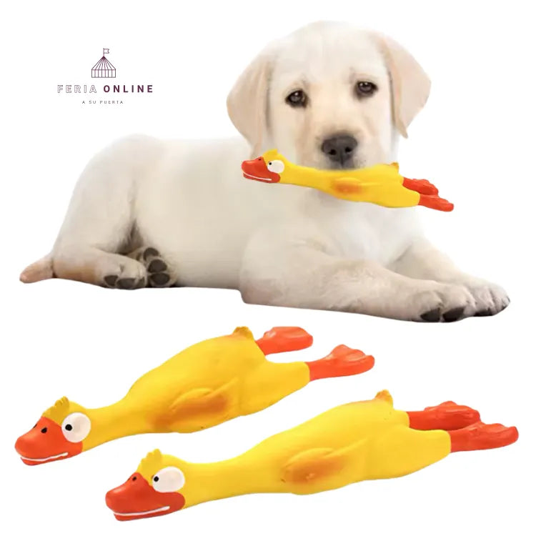 Pato Chillón 23CM
