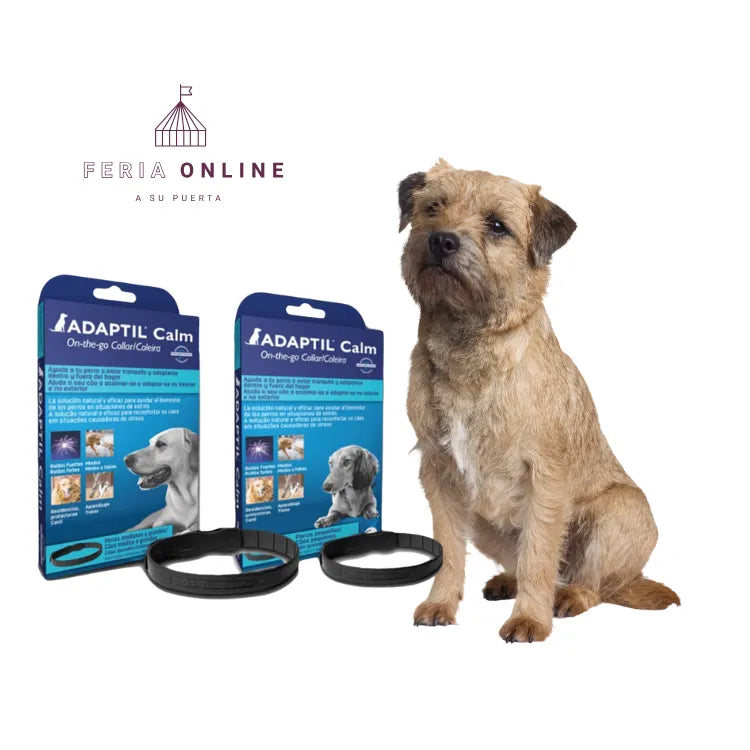 Adaptil Calm Collar