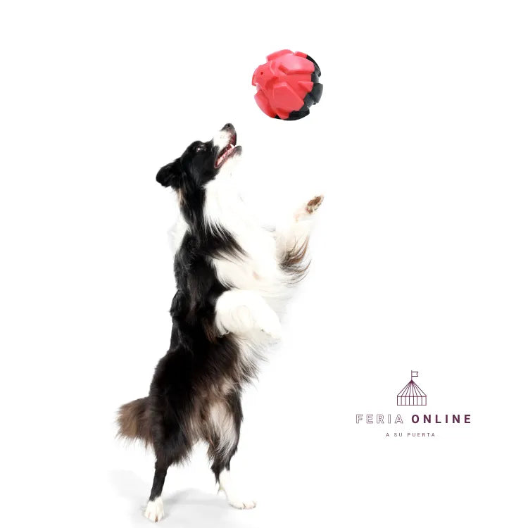 Pelota Chillona TRP