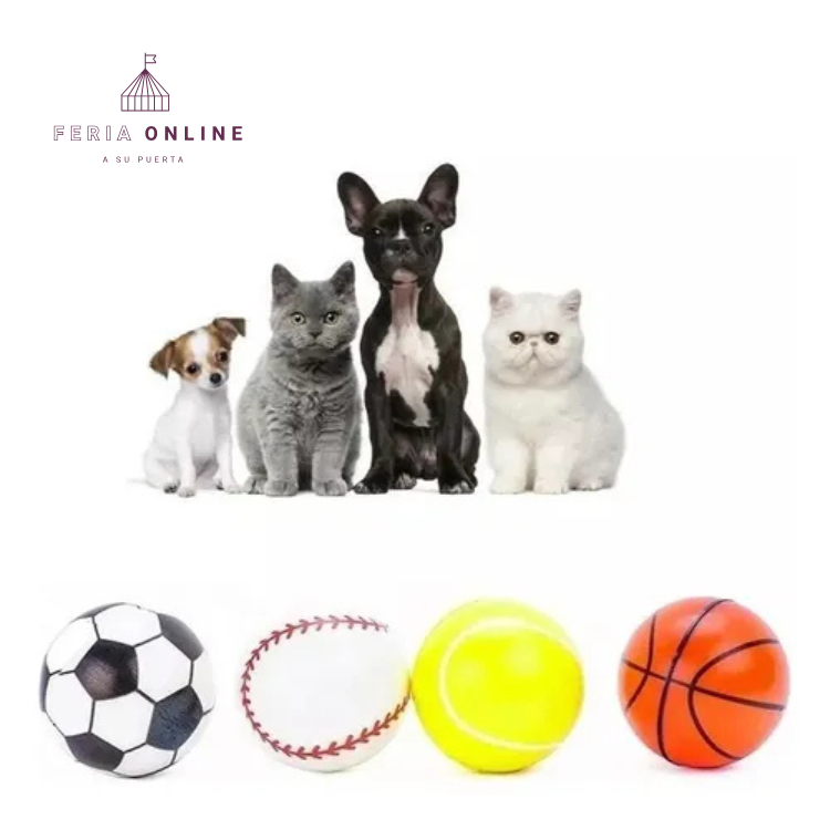 Pelotas Para Mascotas