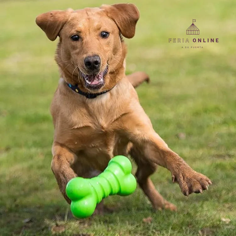 Juguete Hueso Macizo Para Perro