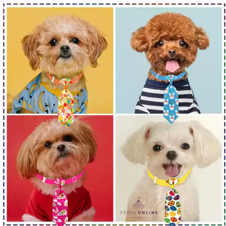 Corbata Con Broche Para Perro Y Gato