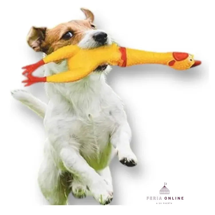 Pollo Chillón