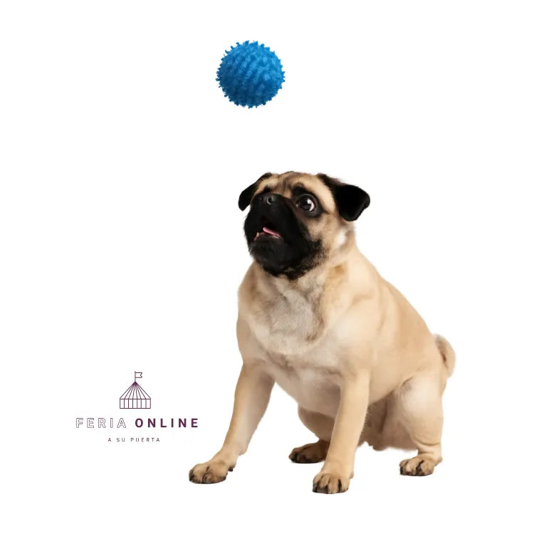 Pelota Chuzos Maciza