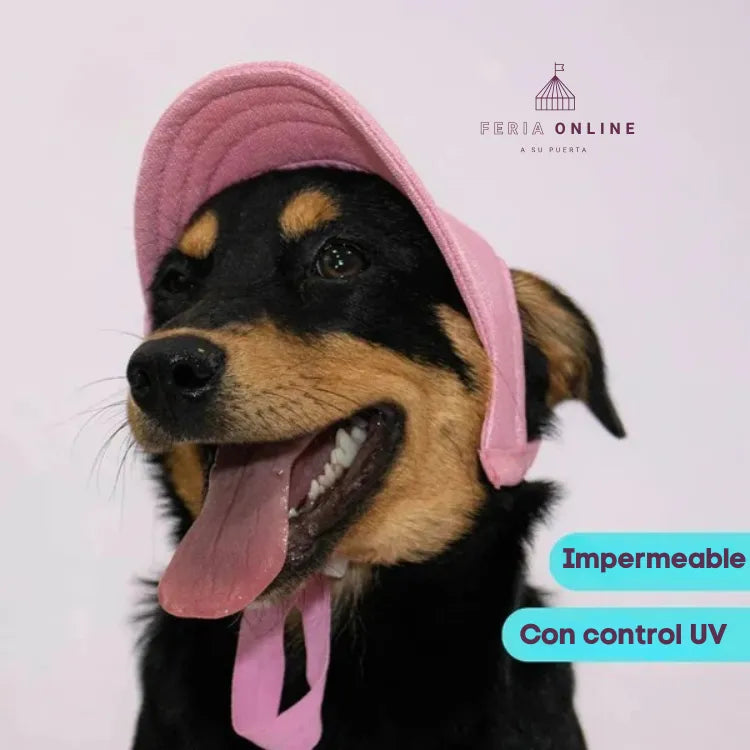 Gorra para Mascotas