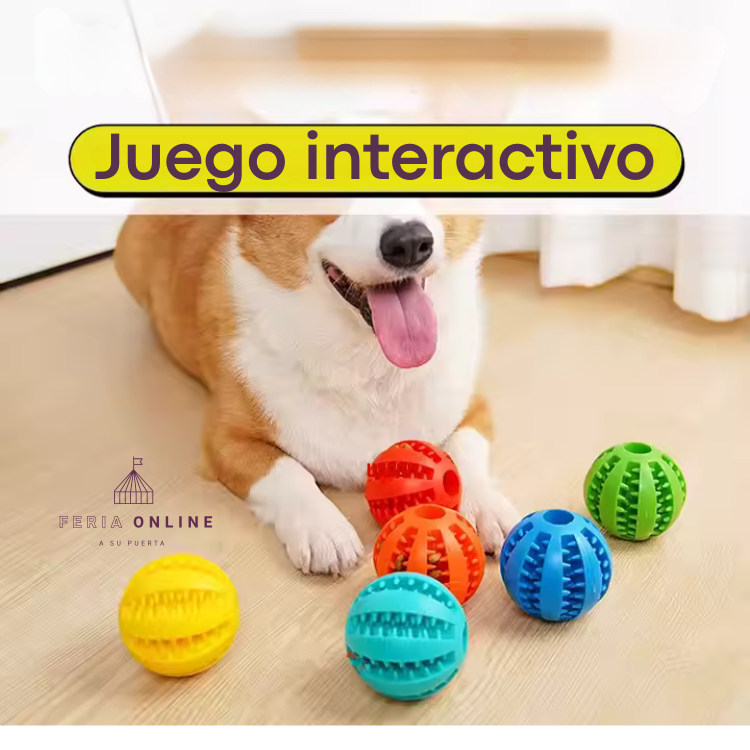 Pelota Maciza Premio Mediana