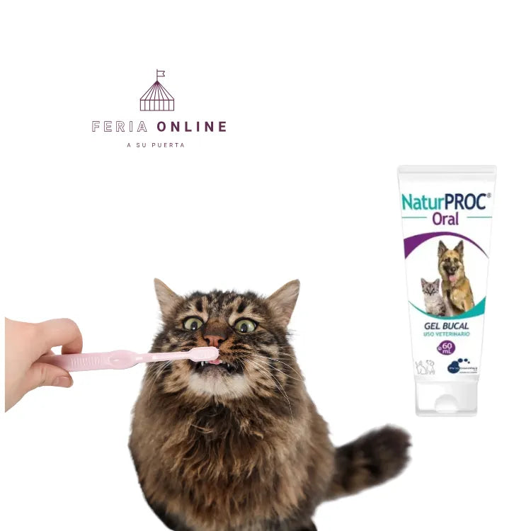 Naturproc Limpieza Dental Perros Y Gatos En Gel Sabor Miel 60 ML