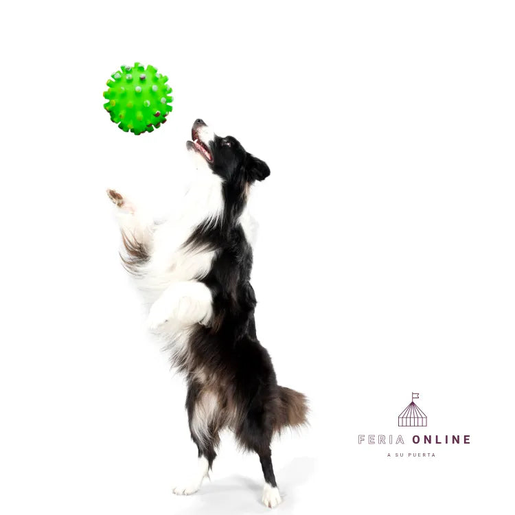 Juguete Pelota Chillona Puntos Mascota