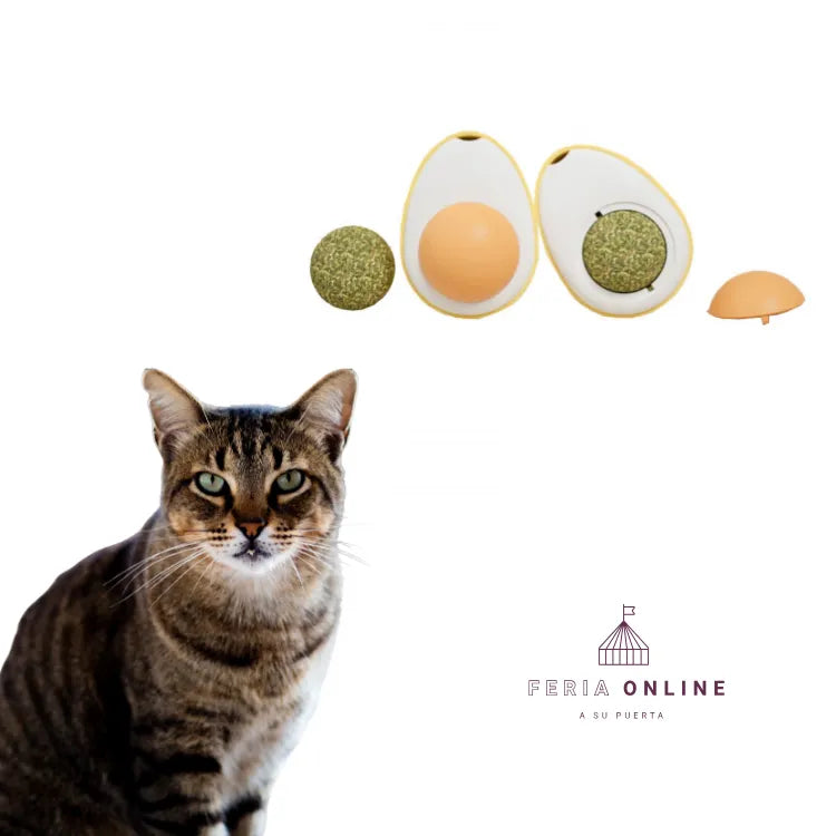 Bolita De Catnip Giratoria Forma de Huevo