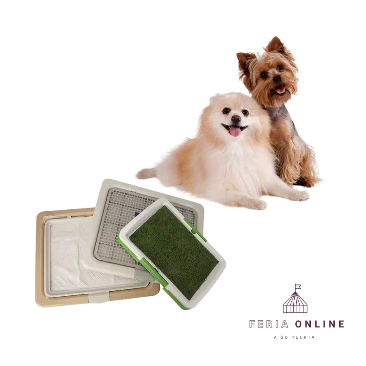 Base Sanitaria Con Gramilla Para Perros Pequeños