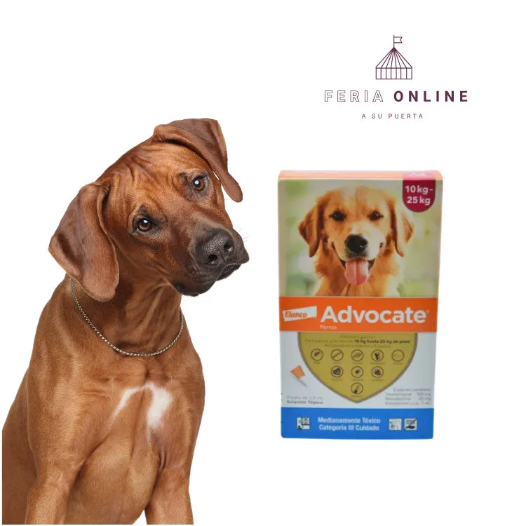 Antipulgas Advocate En Pipeta Para Perros 10-25 KG UND