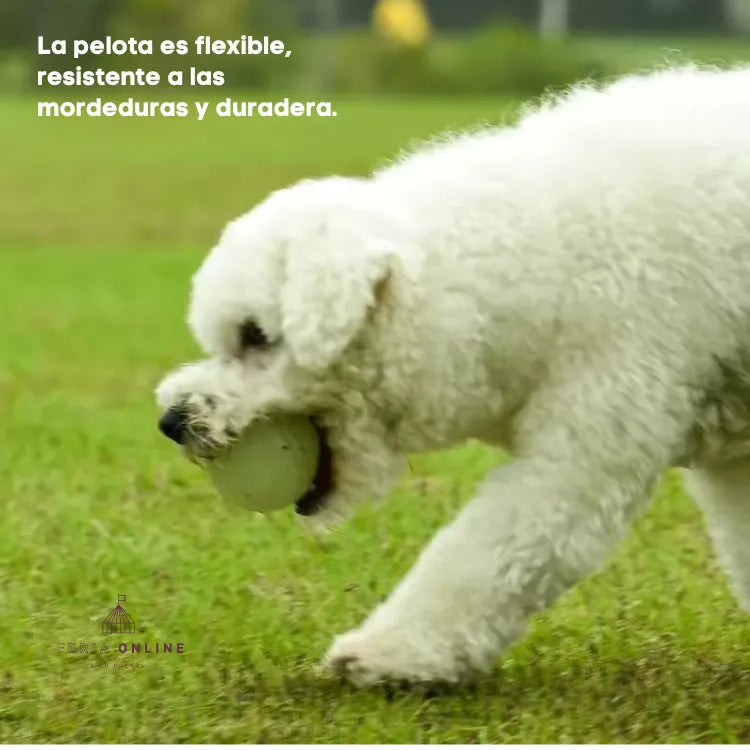 Pelota Neon Para Mascotas