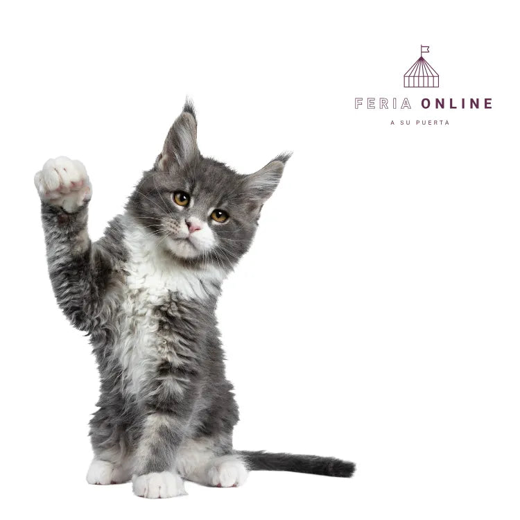 Deslanador Para Gatos