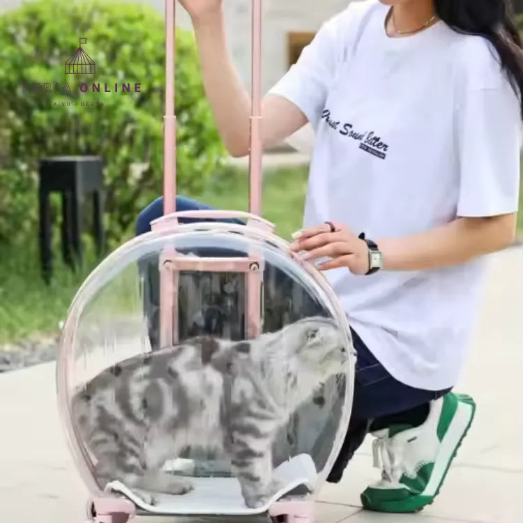 Maleta Transportadora para Mascotas