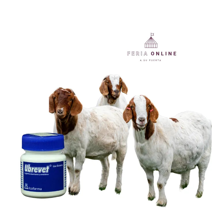 Ubrevet Unguento 30gr.