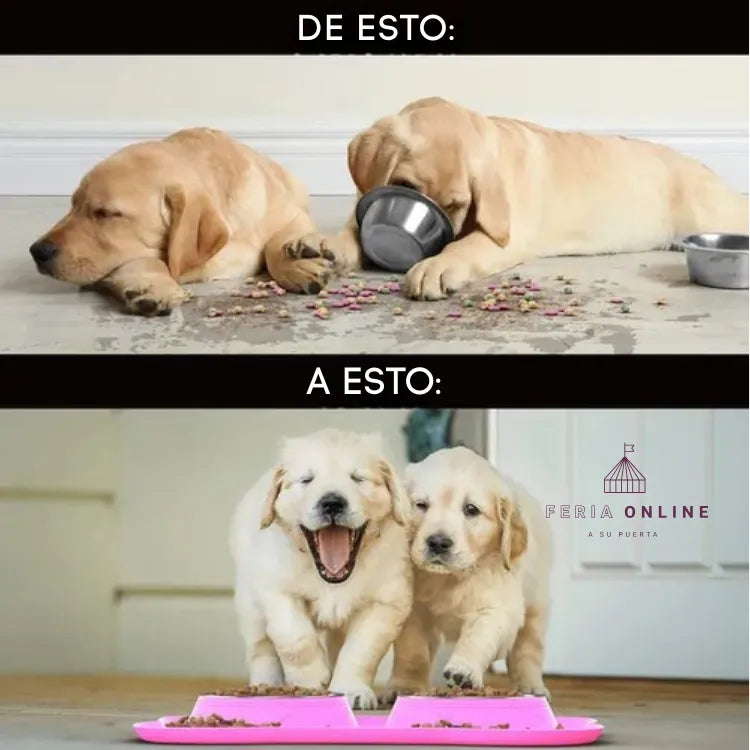 COMEDERO Y BEBEDERO